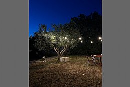 City Food Garden Novalja